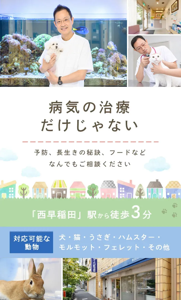 病気の治療だけじゃない