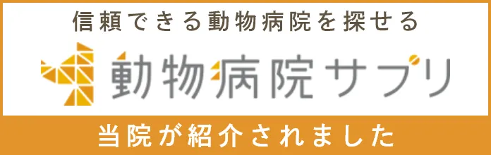 当院が紹介されました