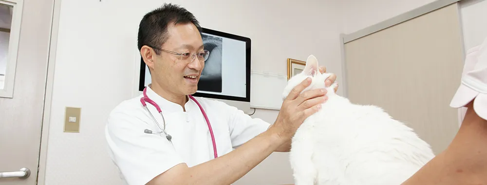 大切にしていること