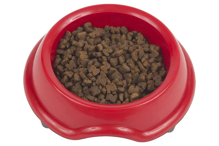 5.自宅でのケアについてもアドバイスしています。