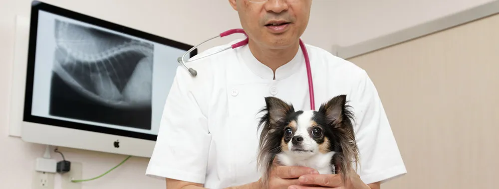 定期健診・予防