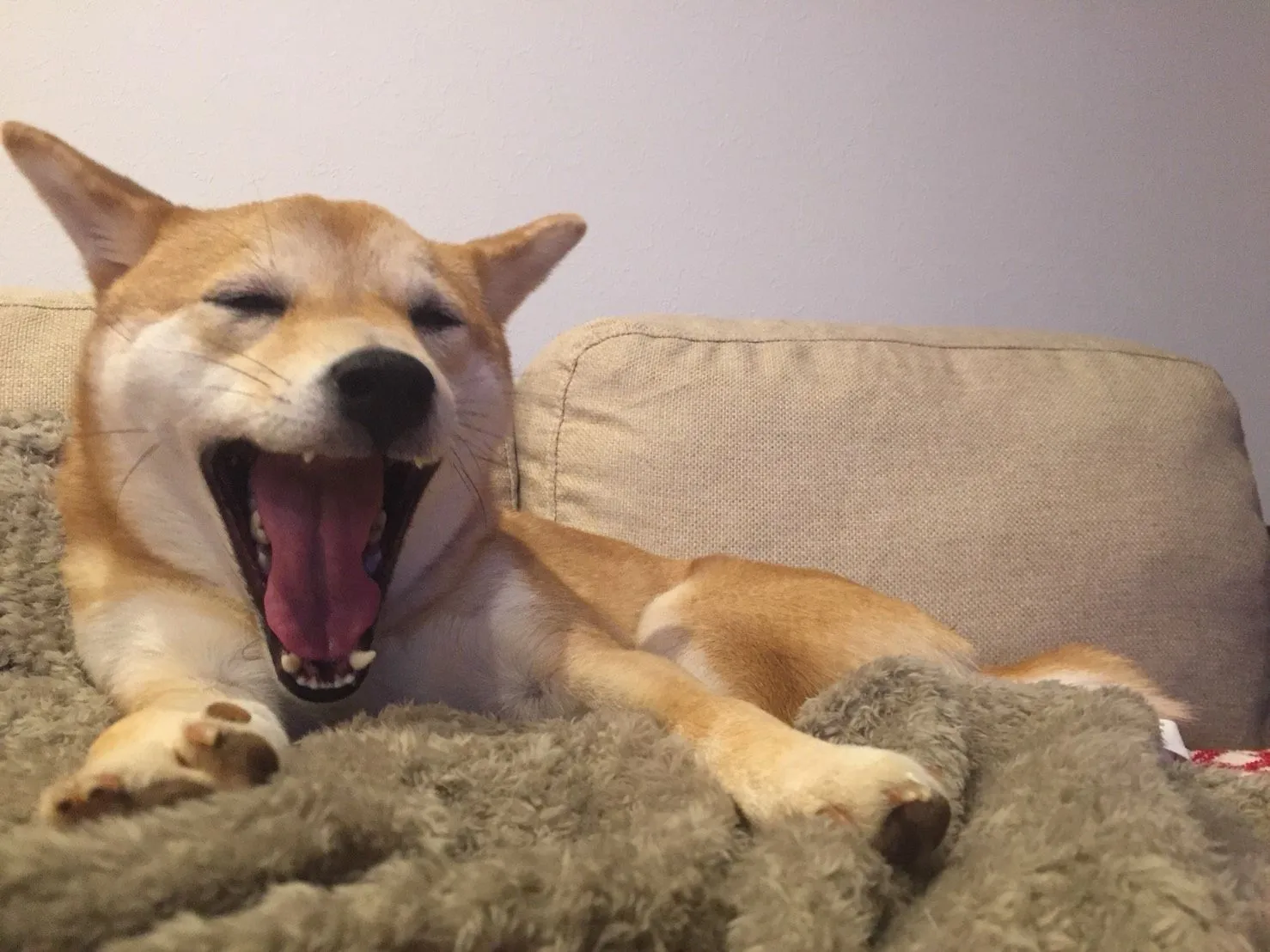 ご自宅での予防