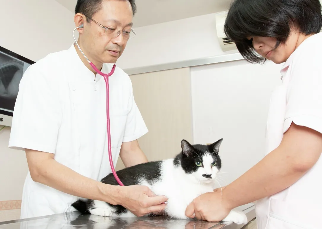 当院が大切にしていること