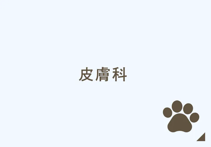 皮膚科
