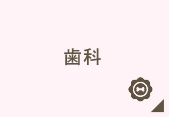 歯科