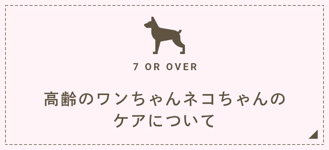 高齢のワンちゃんネコちゃんのケアについて